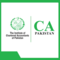 The Institute of Chartered Accountants of Pakistan logo